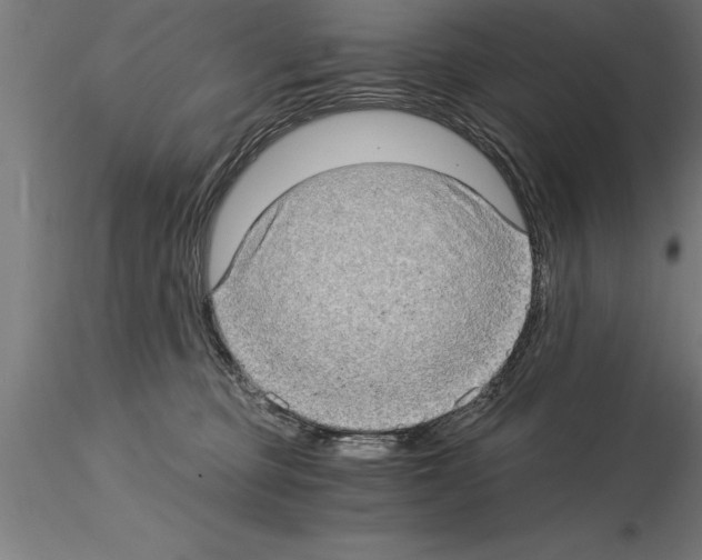 X0000115280373200912111231