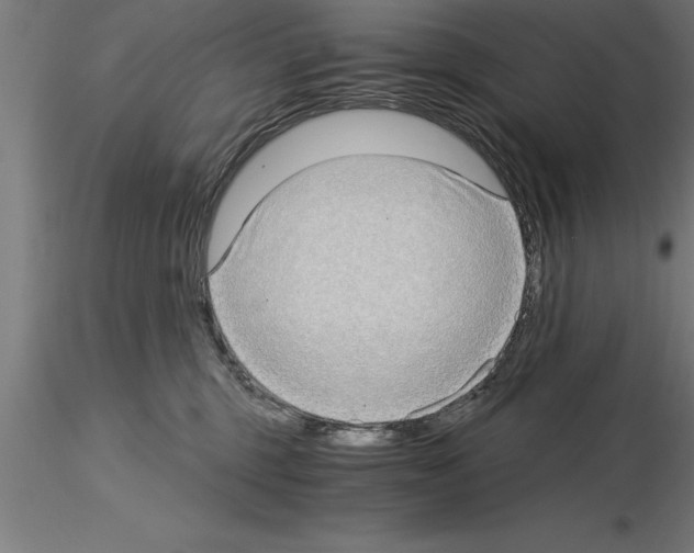 X0000115280375200912111231