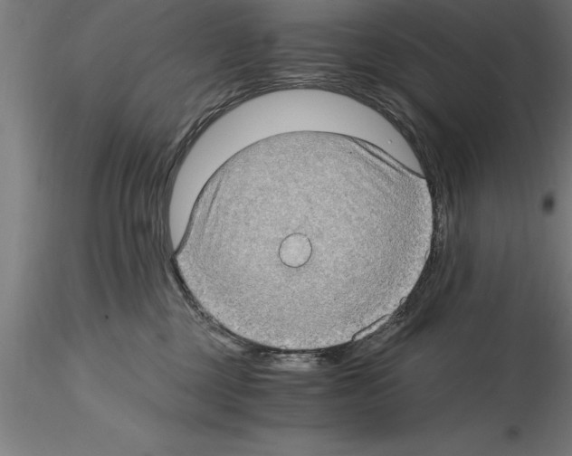 X0000115280377200912111231