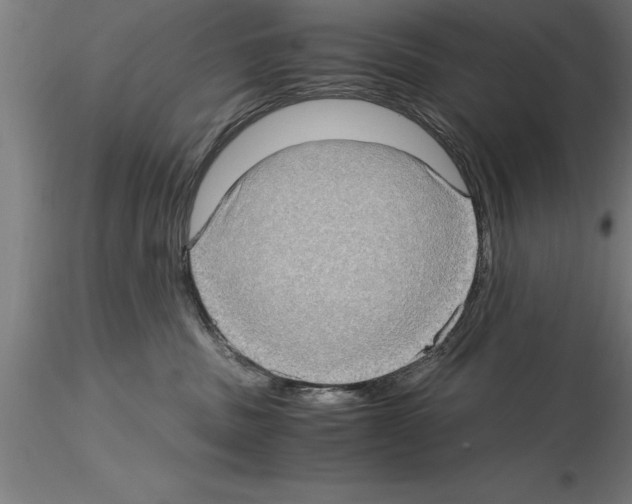 X0000115280379200912111231