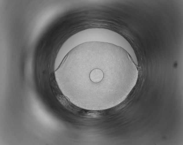 X0000115280381200912111231