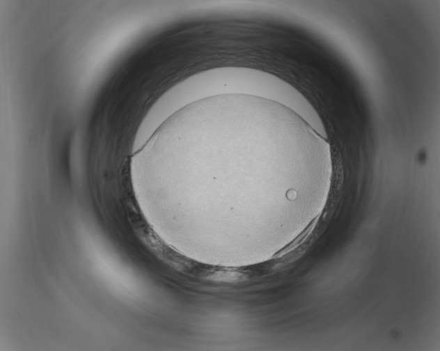 X0000115280383200912111232