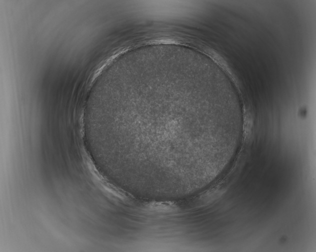 X0000115280386200912111231