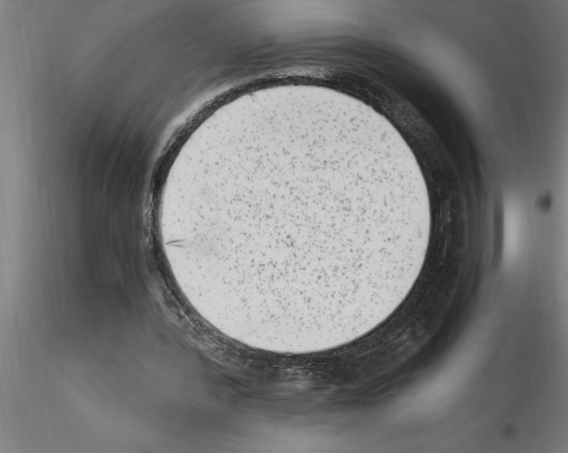 X0000115280388200912111231