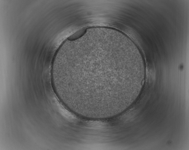 X0000115280389200912111231