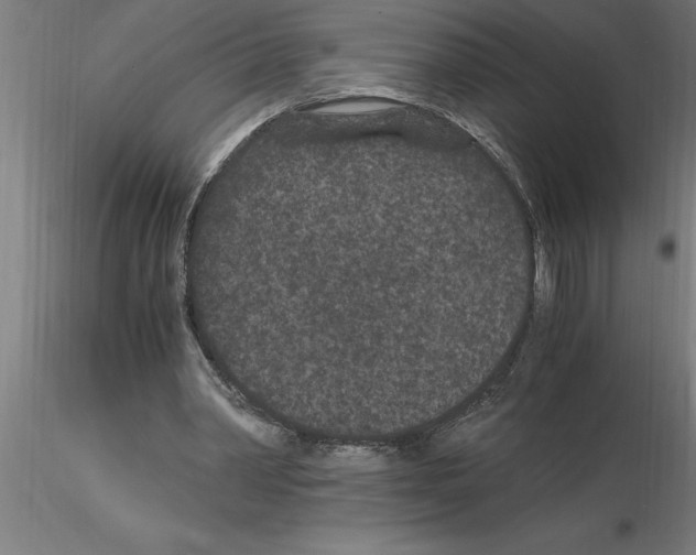 X0000115280390200912111231