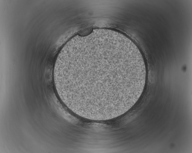 X0000115280393200912111231