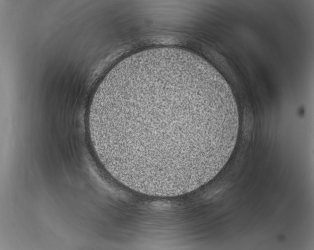 X0000115280394200912111231