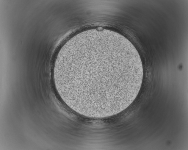 X0000115280395200912111231