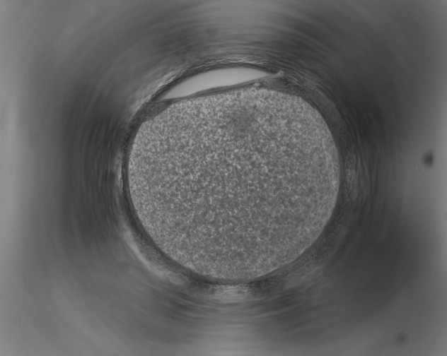 X0000115280398200912111231