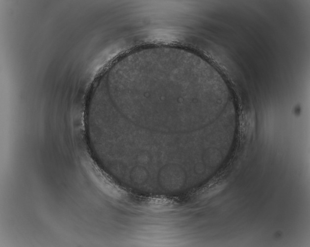 X0000115280399200912111231