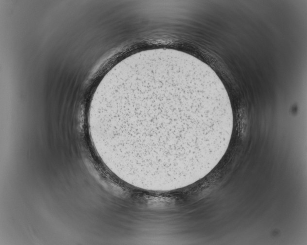 X0000115280400200912111231