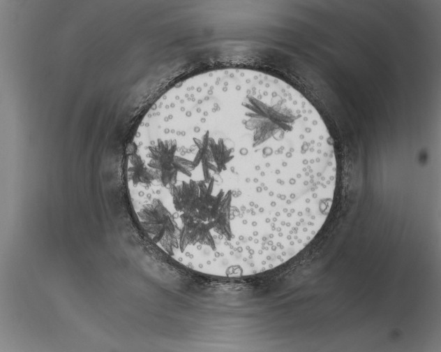 X0000115280401200912111230