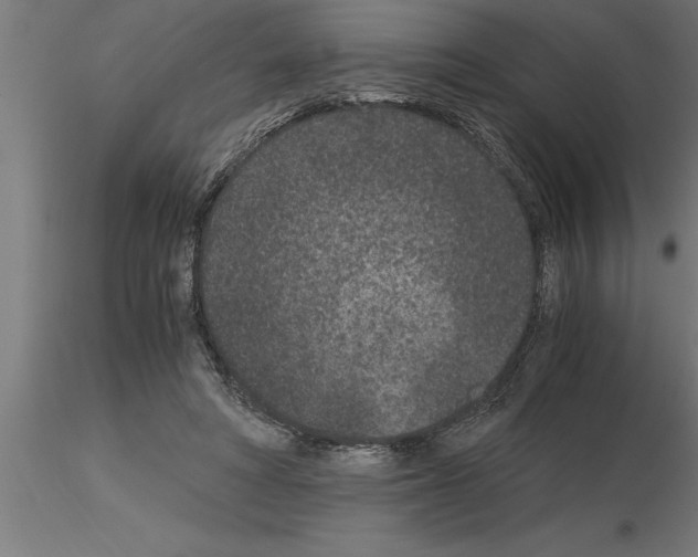 X0000115280402200912111230