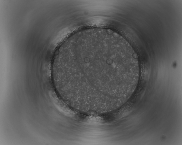 X0000115280403200912111230