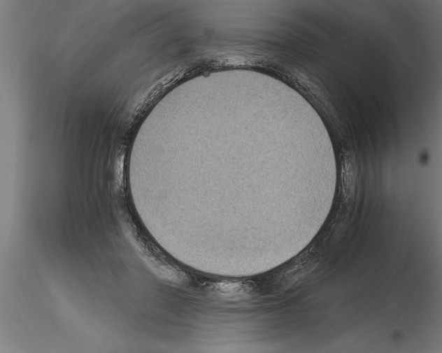 X0000115280406200912111230