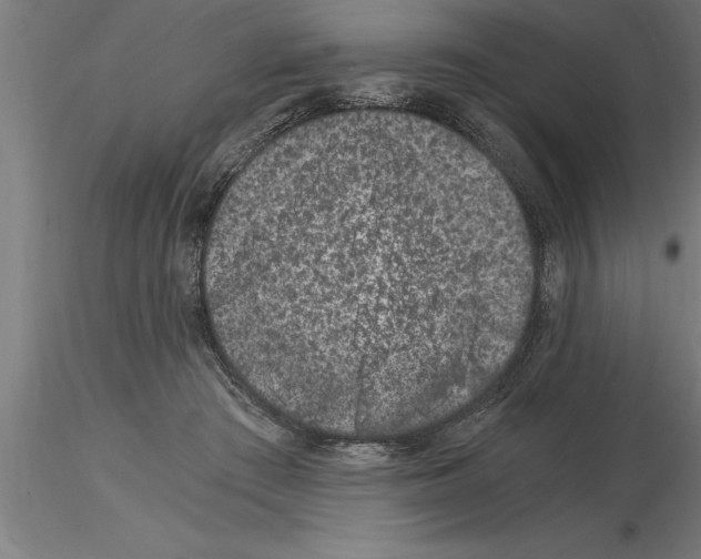 X0000115280409200912111230