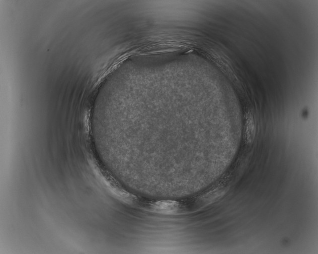 X0000115280410200912111230