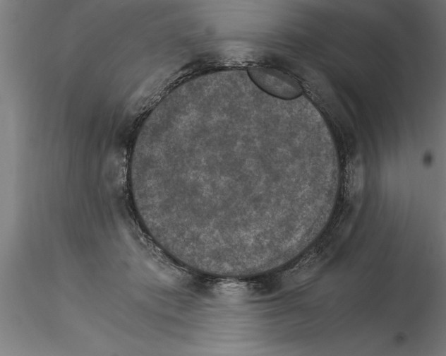 X0000115280413200912111230