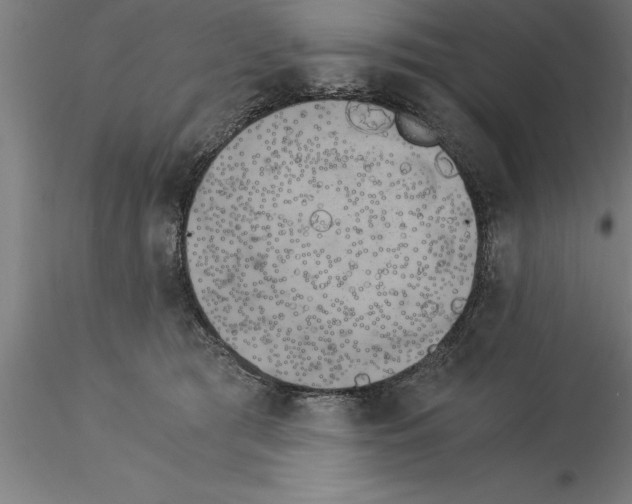 X0000115280417200912111230