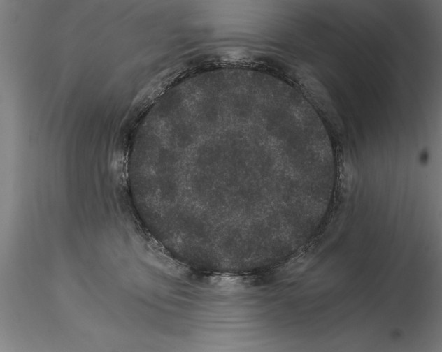 X0000115280419200912111230