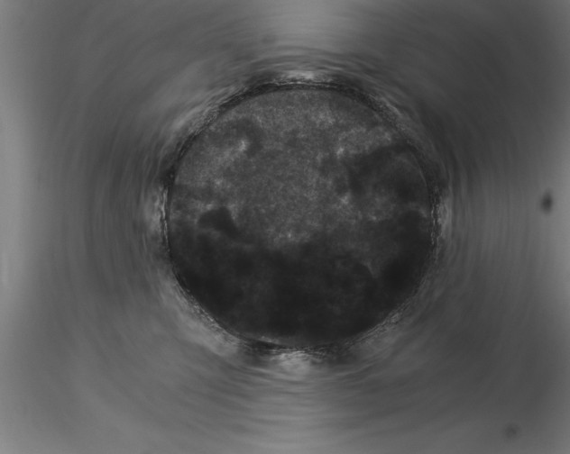 X0000115280423200912111230