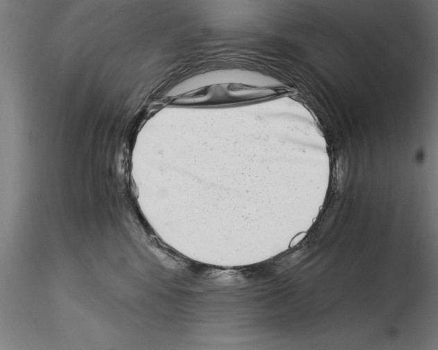 X0000115280424200912111230