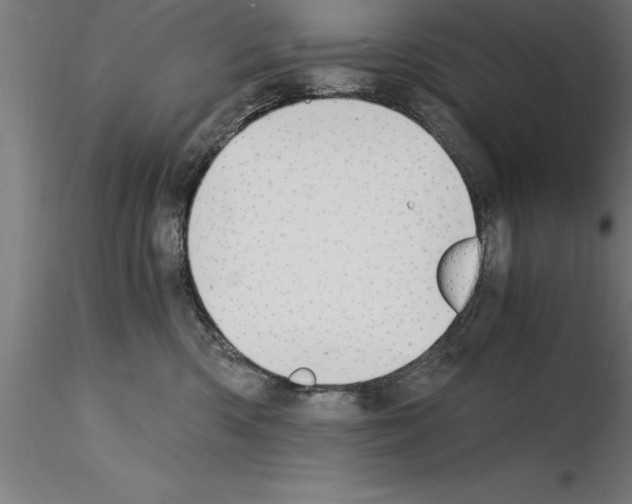 X0000115280426200912111230