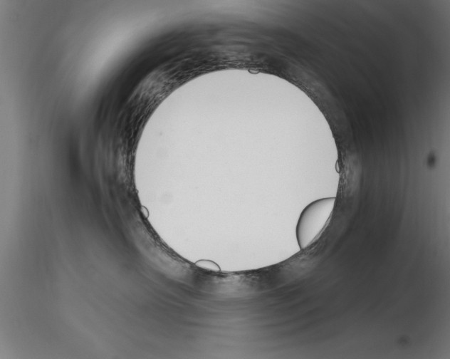 X0000115280430200912111230