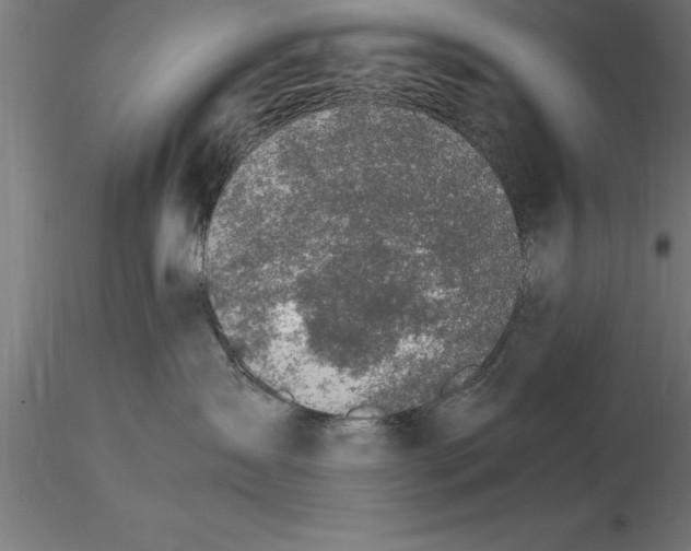 X0000115280431200912111230