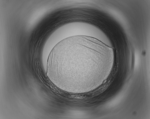 X0000115280435200912111229