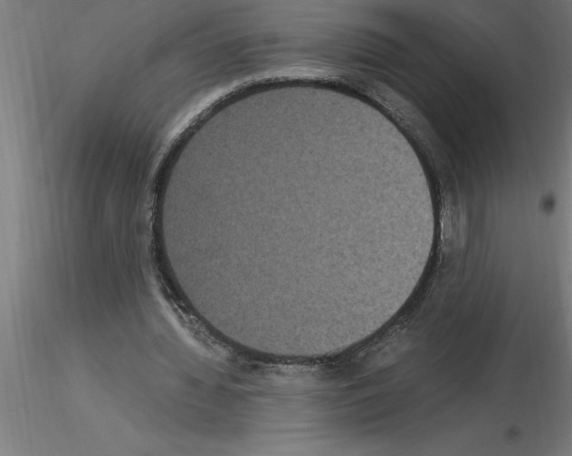 X0000115280436200912111229