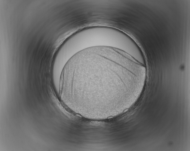 X0000115280437200912111229