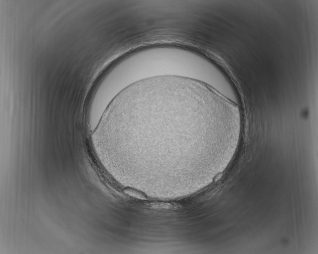 X0000115280439200912111229