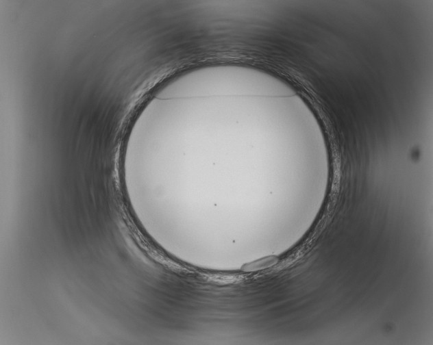 X0000115280443200912111230