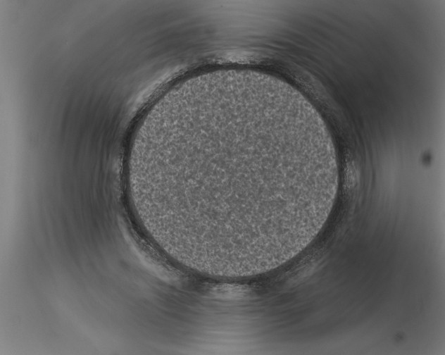 X0000115280444200912111230