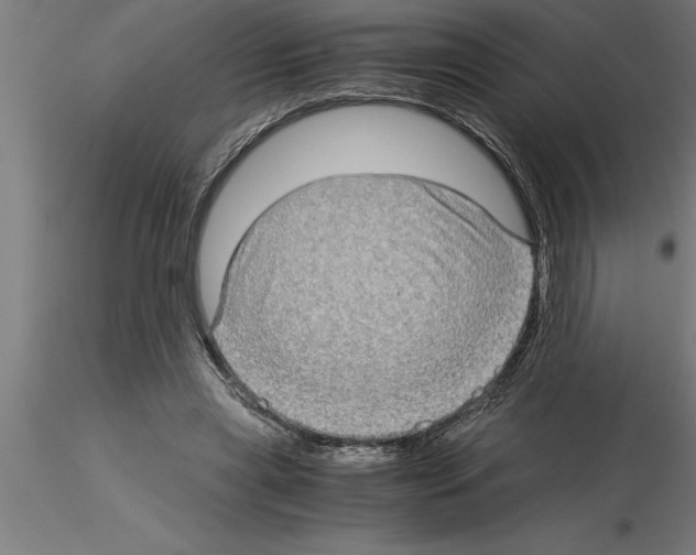 X0000115280445200912111230