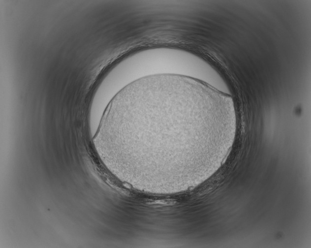 X0000115280447200912111230