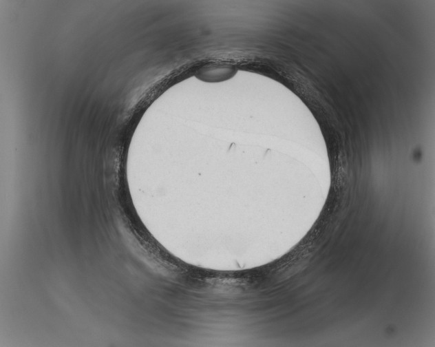 X0000115280448200912111230