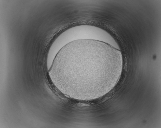 X0000115280451200912111230