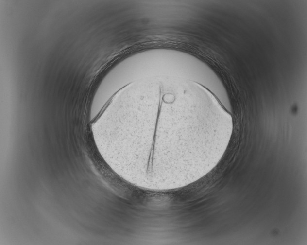 X0000115280456200912111230