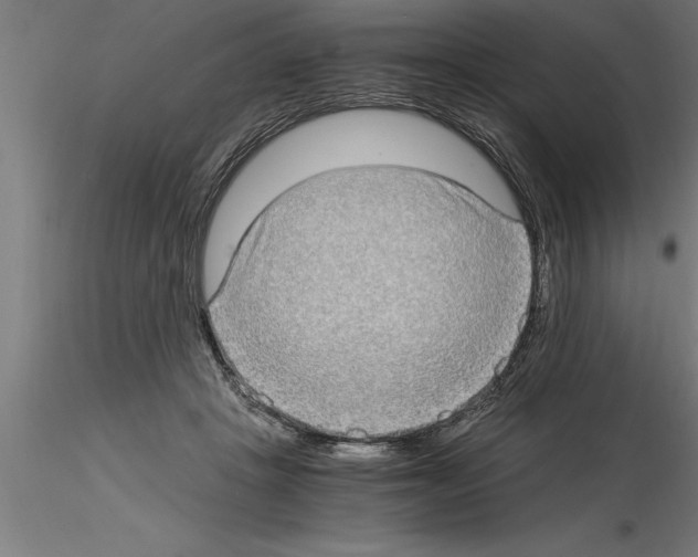 X0000115280457200912111230