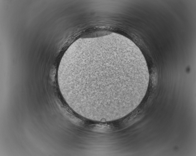 X0000115280458200912111230