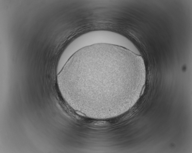 X0000115280459200912111230