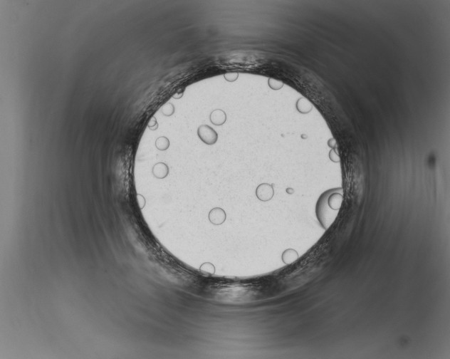 X0000115280460200912111230