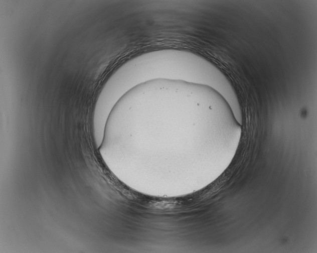 X0000115280461200912111230