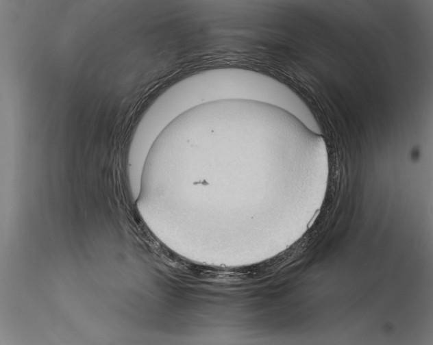 X0000115280463200912111230