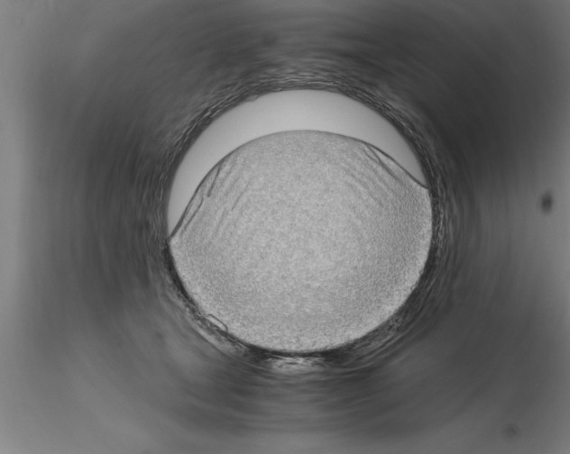 X0000115280465200912111230