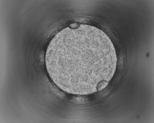 X0000115280466200912111230