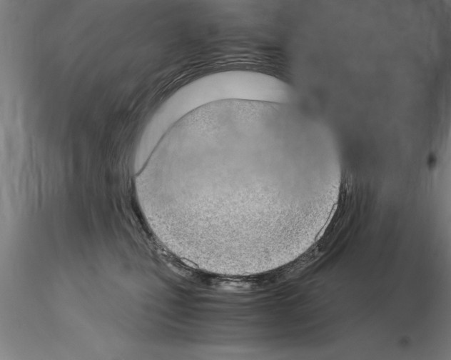 X0000115280471200912111230